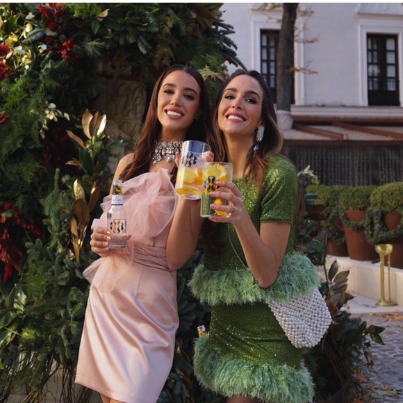 Zara Beige Pink Floral Mini Dress - Picture 11 of 17